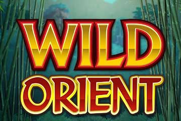 wild-orient-slot-logo